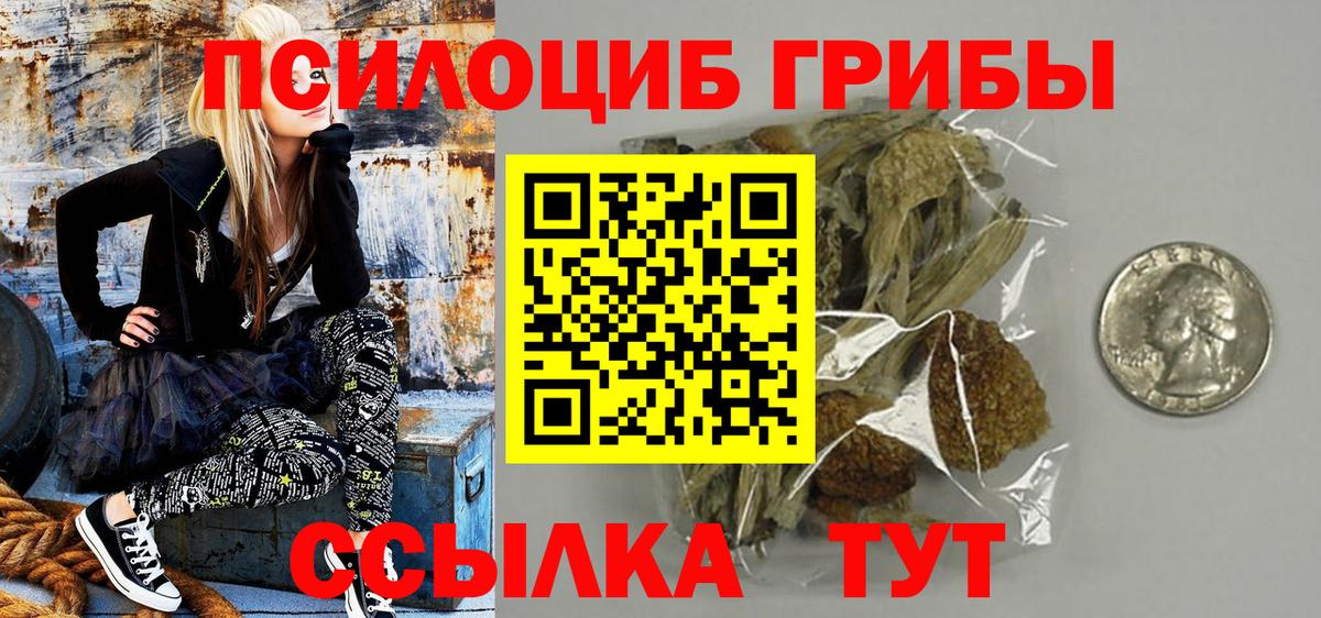 Ковров  Псилоцибиновые грибы MAGIC MUSHROOMS  Вход с VPN 